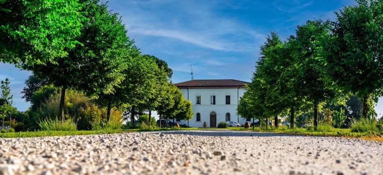 Villa Archi Faenza Exterior foto